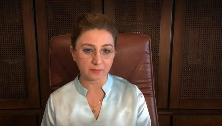 Funda Başaran Yavaşlar, vergisiz telefon kararı için konuştu!